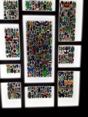 Discovery Center of Idaho by null