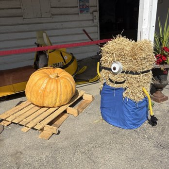 Fonda Fairgrounds - Minion! - Amusement Parks Near Me - Fonda, New York