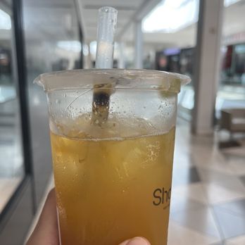Sharetea - Peach Kiwi Tea with Aiyu Jelly/boba - Bubble Tea Near Me - Santa Clara, California Sharetea - Peach Kiwi Tea with Aiyu Jelly/boba - Bubble Tea Near Me - Santa Clara, California