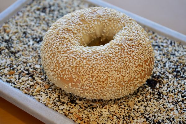 Bagels ‘n Grinds by null