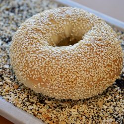 Bagels ‘n Grinds - Sesame Bagel on a bed of everything bagel seasoning