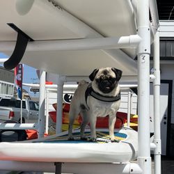 OC Paddlesports