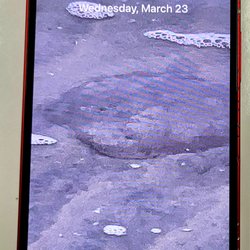 IPhix CellPhone Repair