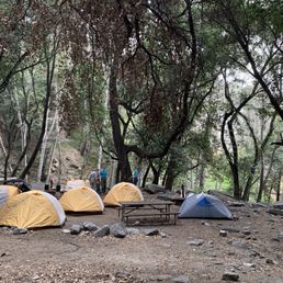 hoegees camp