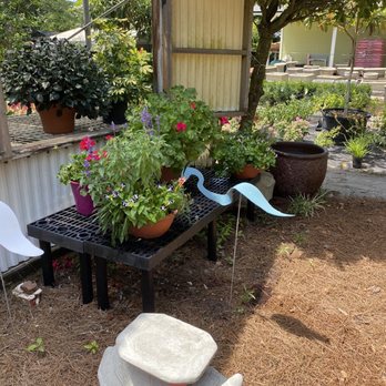 Philips Garden Store - Nurseries & Gardening Near Me - Jacksonville, Florida