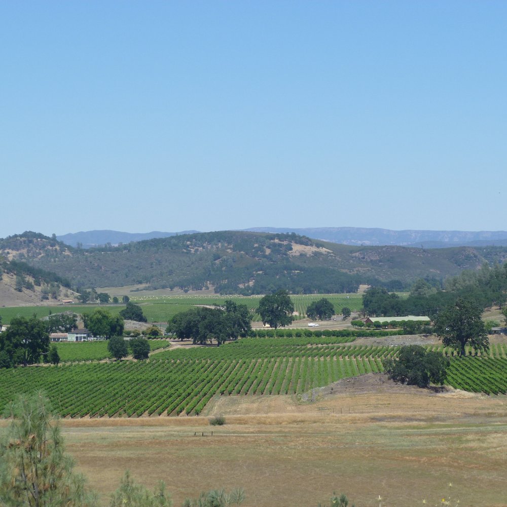 Langtry Farms - Wine Tasting Room Near Me - Middletown, California Langtry Farms - Wine Tasting Room Near Me - Middletown, California