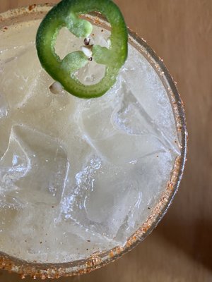 The Social Study by null