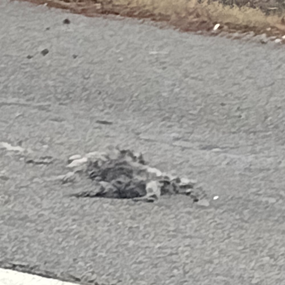 In the parking lot In the parking lot