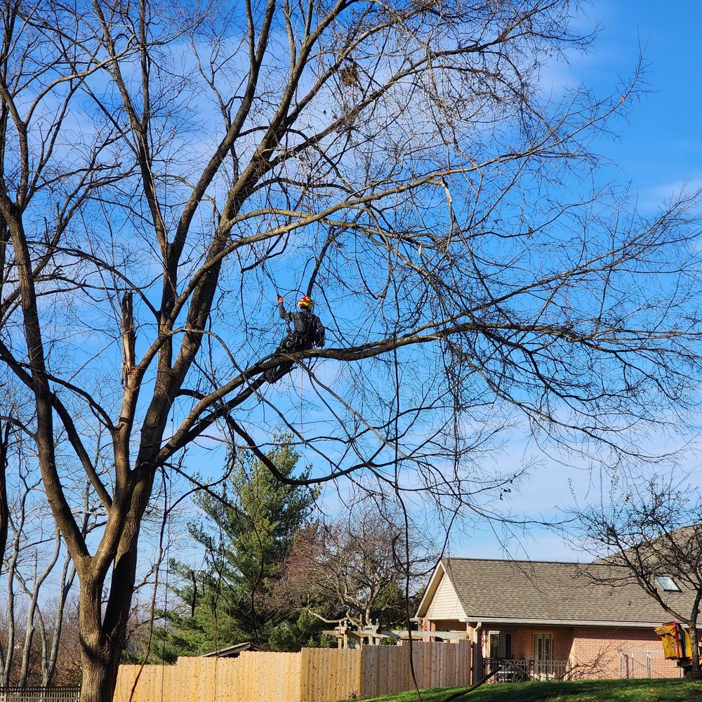 NKY LAND SPECIALIST Updated April 2024 Request a Quote 114 Photos Alexandria, Kentucky