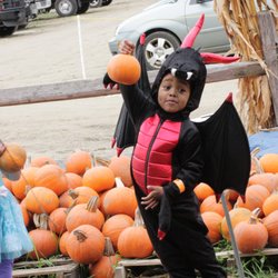 Mike's Maze At Warner Farm - My son and a friend picking out pumpkins.