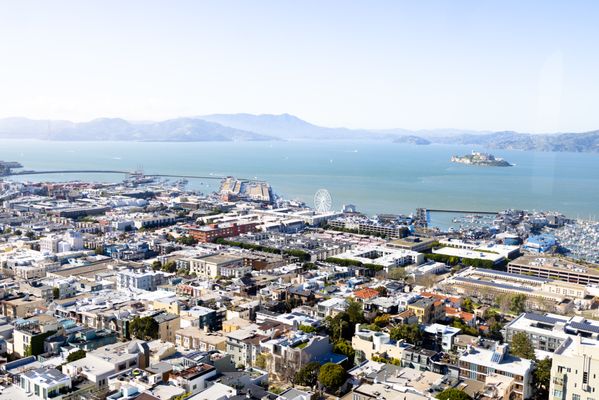 Coit Tower by null