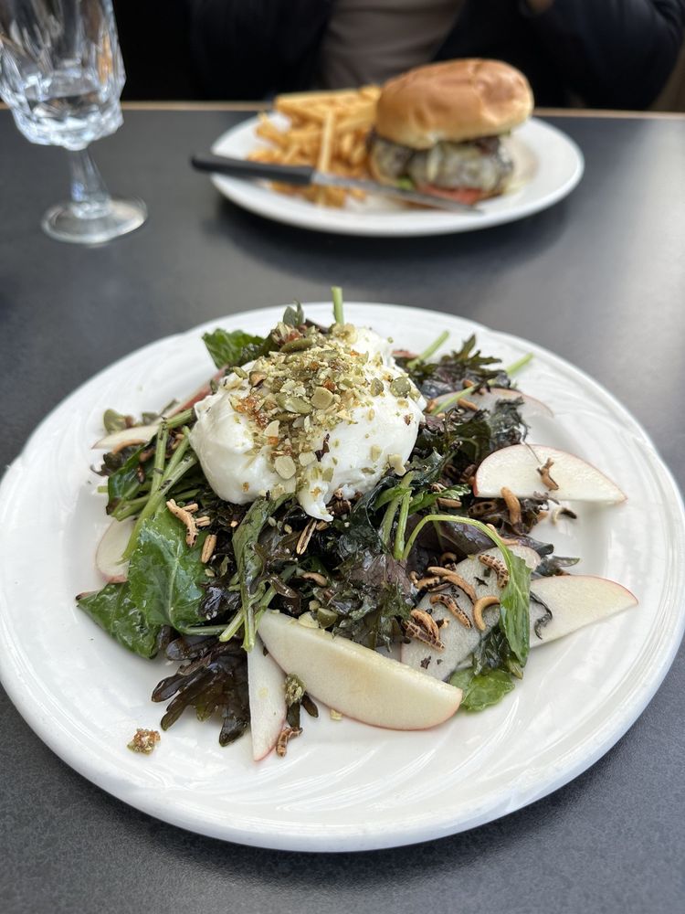 OLIVE BISTRO & LOUNGE Updated August 2024 33 Photos & 50 Reviews