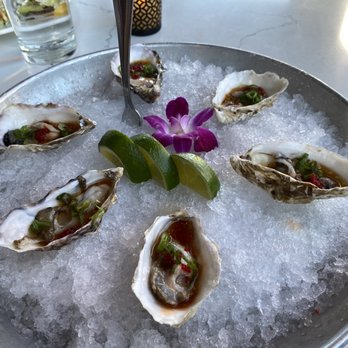 Shorebird - Oysters - Breakfast & Brunch Near Me - Sedona, Arizona