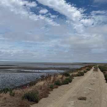 Dumbarton Pier - Trail - Parks Near Me - Newark, California