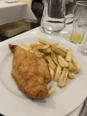 Fish Central by null