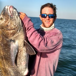 Black Drum