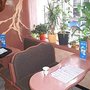 Photo of Eiscafe Florida