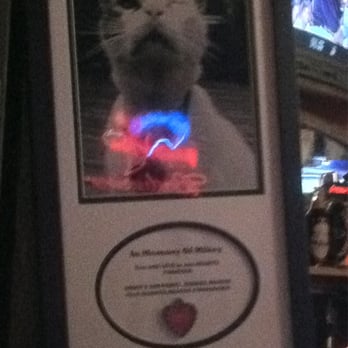 Griff's Irish Pub - Amazing memorial to a cat. Touched my heart! - Sports Bars Near Me - Houston, Texas