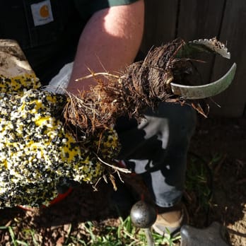 Doug's Rooter Service - Tree roots on cable and blades. - Plumbing Near Me - Yakima, Washington