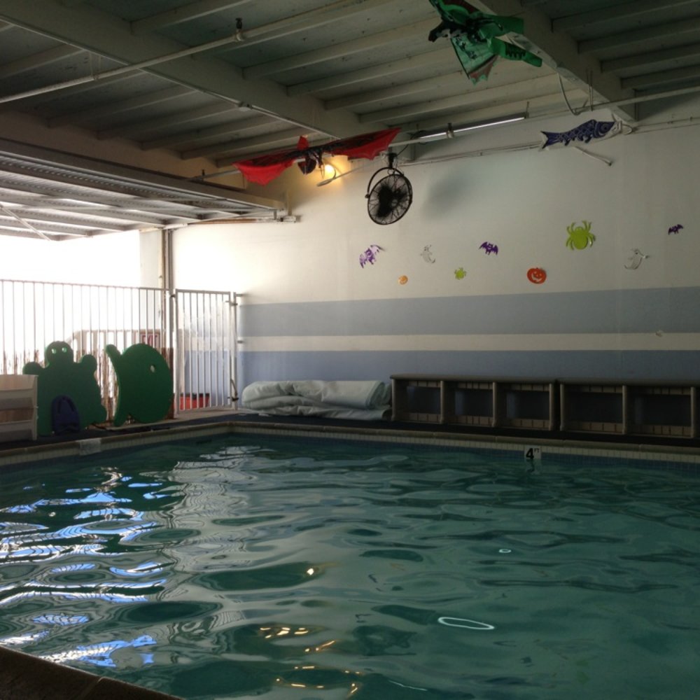 Aquatic Explorations & Safety Training - Swimming Pools Near Me - Los Alamitos, California Aquatic Explorations & Safety Training - Swimming Pools Near Me - Los Alamitos, California