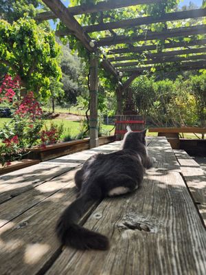 Rancho Sisquoc Winery by null