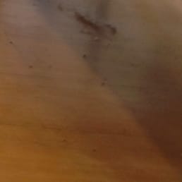Dust bunnies, ewww!