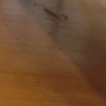 For Eyes - Dust bunnies, ewww! - Eyewear & Opticians Near Me - Norridge, Illinois