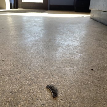 Daddy Yo's Frozen Yogurt - Eyelash on the floor - Desserts Near Me - Greenfield, Wisconsin Daddy Yo's Frozen Yogurt - Eyelash on the floor - Desserts Near Me - Greenfield, Wisconsin