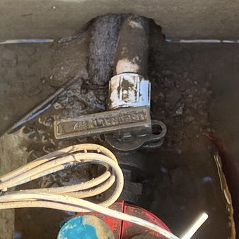 Griffin Plumbing - Offending tree root and old pipe. - Water Heater Installation/Repair Near Me - Santa Maria, California Griffin Plumbing - Offending tree root and old pipe. - Water Heater Installation/Repair Near Me - Santa Maria, California