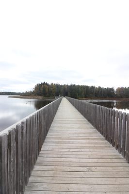 Island Lake Conservation Area by null