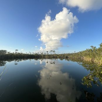 Blue Hole Observation Platform - Hiking Near Me - Big Pine Key, Florida
