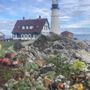 Photo of The Scenic Route Maine Tours
