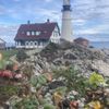 The Scenic Route Maine Tours gift card