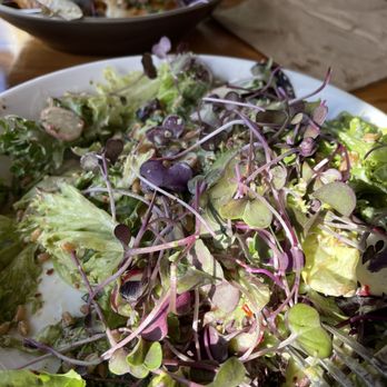 The Salmonberry - A Rabbit's Wet Dream salad - Salad Near Me - Wheeler, Oregon