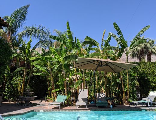 Hotel California by null