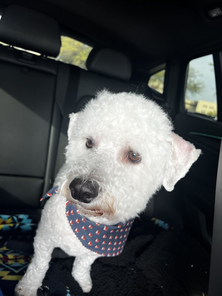 Woof Gang Bakery & Grooming Rockwall Image