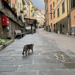 Let's Andiamo - Riomaggiore