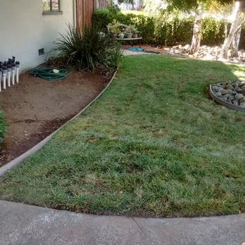 Nelson Plumbing - Lawn replaced - Plumbing Near Me