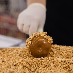 Minonk Chocolate Company - Rolling in Granulated Peanuts