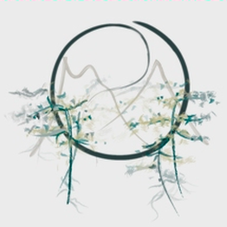 Essential Circles of Life