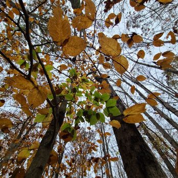 Eno River State Park - Parks Near Me - Durham, North Carolina