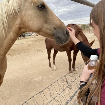 Wild West Horseback Adventures - Horseback Riding Near Me - Las Vegas, Nevada Wild West Horseback Adventures - Horseback Riding Near Me - Las Vegas, Nevada