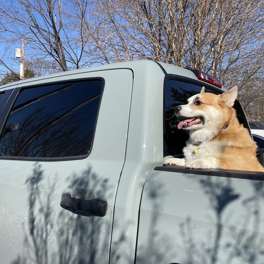 N.C. Tint - Car Window Tinting Near Me - Woodbridge, Virginia N.C. Tint - Car Window Tinting Near Me - Woodbridge, Virginia