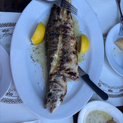 Agnanti by null Agnanti by null