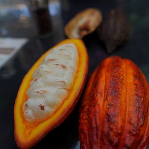 Amazon Spheres on Yelp