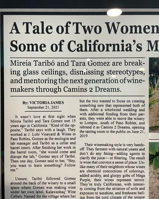 Camins 2 Dreams by null