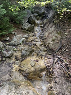 Belfountain Conservation Area by null