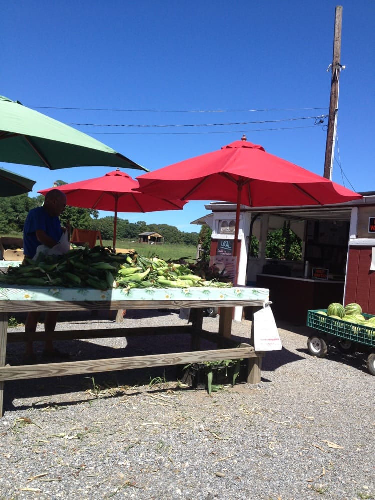 LITTLE RED FARM STAND Updated June 2024 434 Yaphank Middle Islan, Yaphank, New York Phone