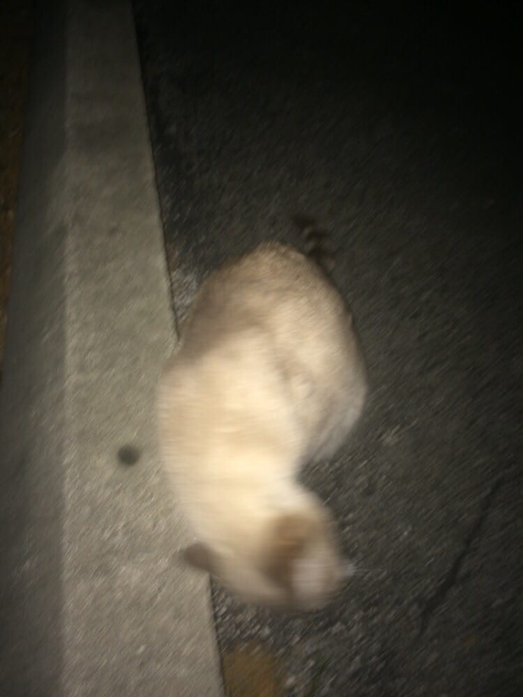 PINEWOOD APARTMENTS Updated October 2024 4229 NW 43rd St