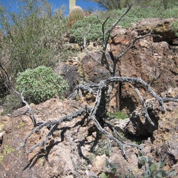 Boulder Canyon Trail - Superstition Mountain - Hiking Near Me - Tortilla Flat, Arizona